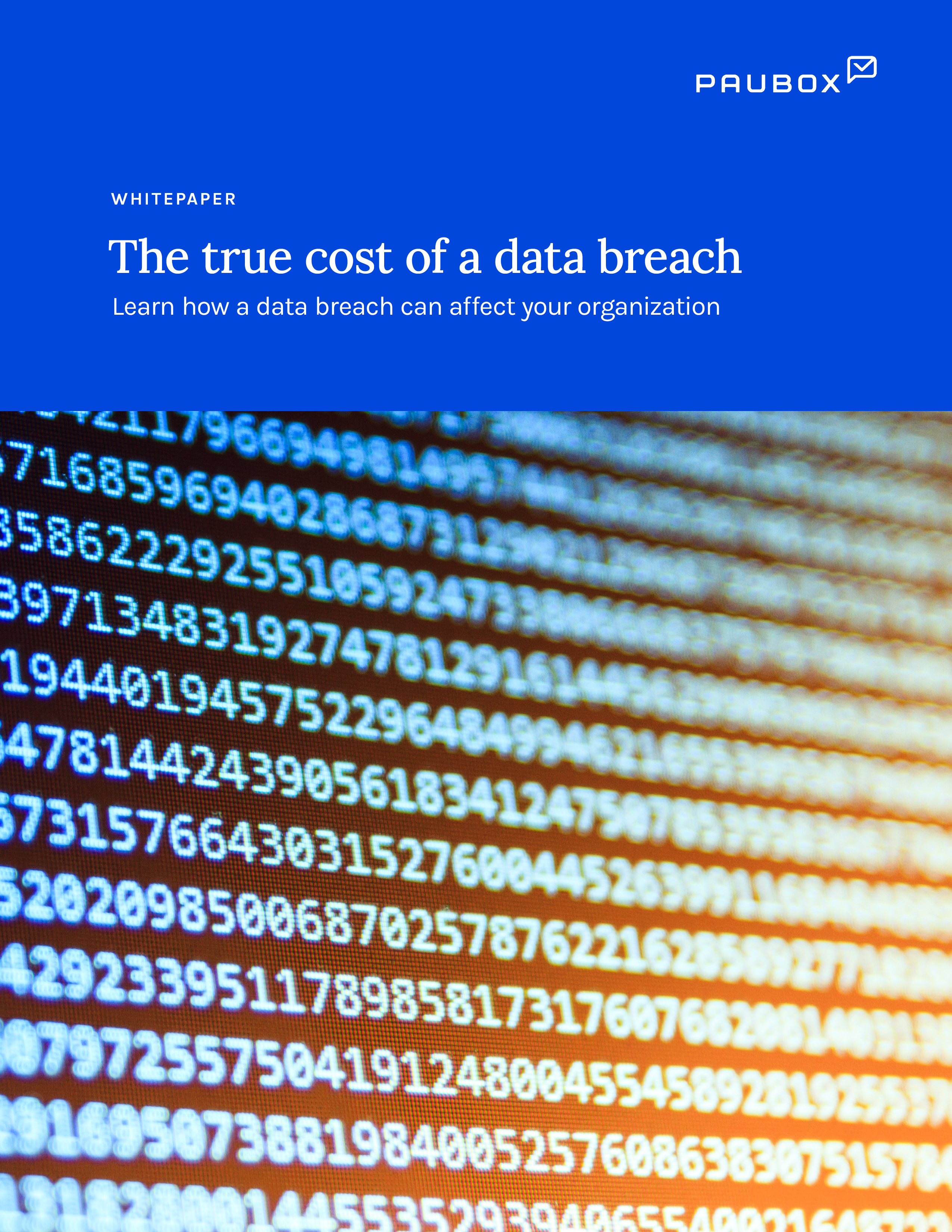 2021-07-13_WHITE_Whitepaper_TrueCostDataBreach