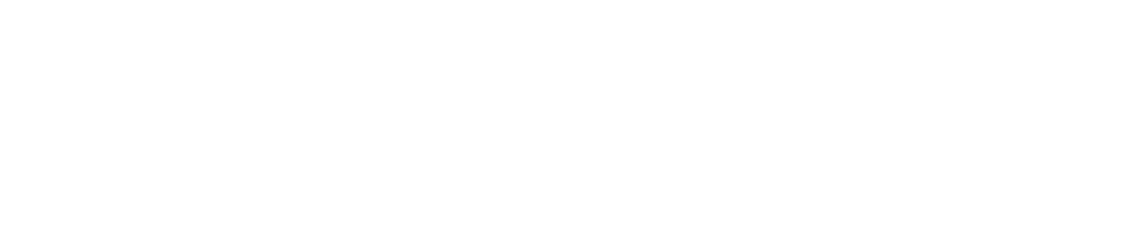 PAU-Logo-Primary-white