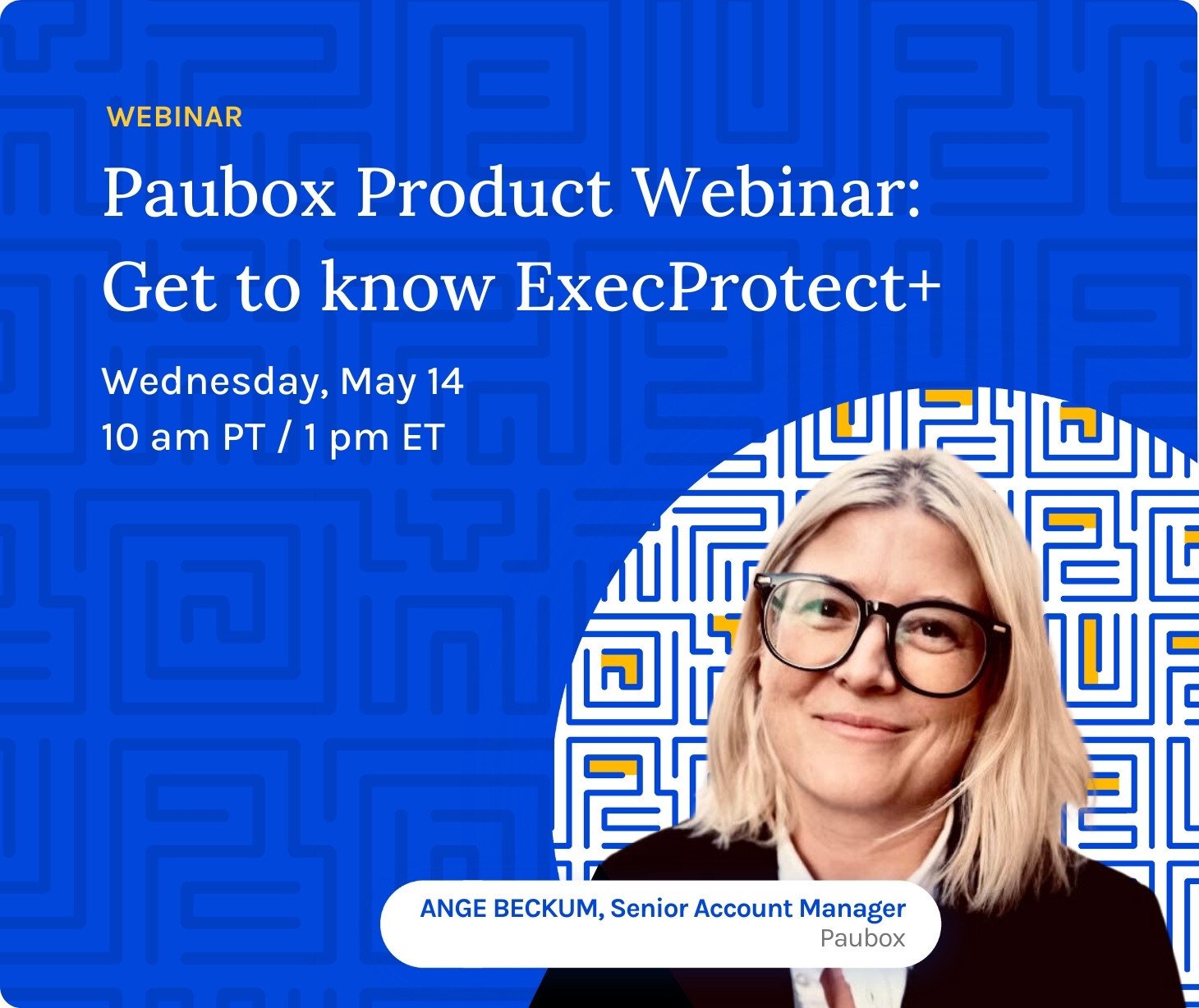 Paubox Product Webinar Get to know ExecProtect+ (730 x 614 px)-3
